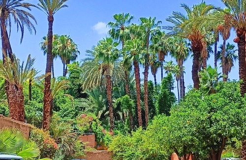Majorelle Apartment | Superbe Apt Vue Exceptionnelle sur les Jardins Majorelle, Rue Yves Saint Laurent