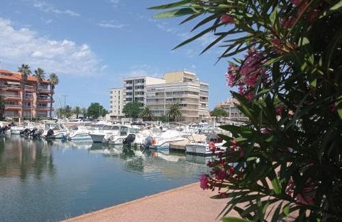 Le Port Apartment | Superbe T3 climatisé calme Marina canet 2 min de la plage