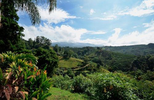 Cajon Apartment | Supercostarica