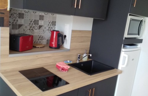 Malicorne-sur-Sarthe Apartment | Superior apartment 4 pers