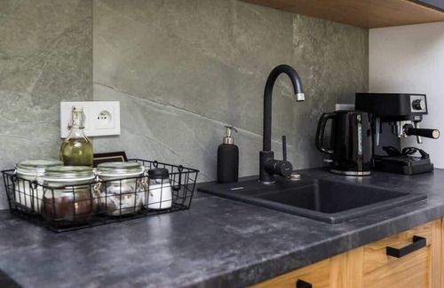 Koscielisko Apartment | Superior Studio with Mountain View F01
