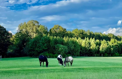 Jackson Cottage | Superstar Cottage near St. Francisville, LA at Southern Cross Bucks Preserve