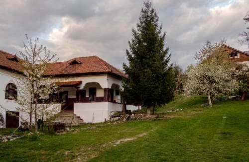 Dragoslavele House | Surasul Muntelui