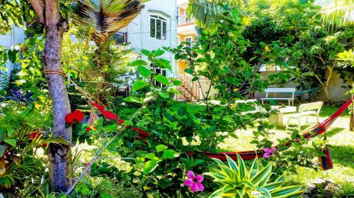 La Gaulette House | Surf House