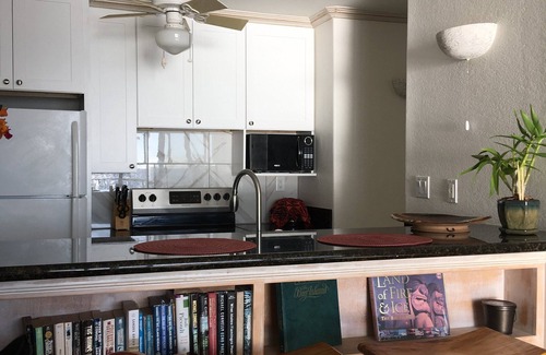 Kailua-Kona Condo | Surfers & Sunsets-Kona Reef Ocean Front Unit