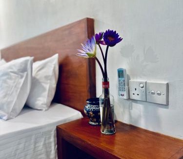 Dickwella Villa | Surfside Paddy Villa