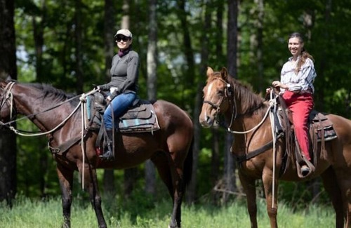 Millerton Other | Surrounded by Berkshire Mountain Views and Horses Book a trail ride or a lesson