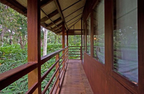 Vandanmedu Cottage | Surrounded Grassland Tree house Stay