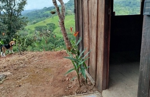 Penas Blancas Cabin | Sustainable Living: Solar Eco-Retreat in Paradise, and Pet-Friendly!