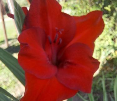 San Lorenzo House | Susurro de Montaña (TIERRA SANTA)