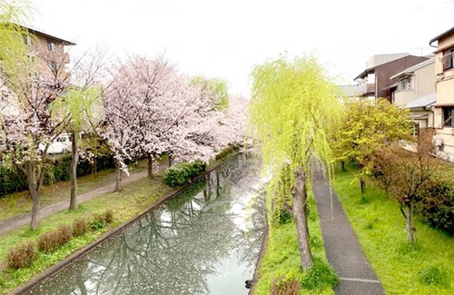 Fushimi House | Suzumean Rent a whole Kyomachiya /Kyoto Kyōto