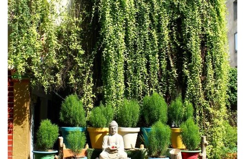 Gwalior Hotel | SVC Inn