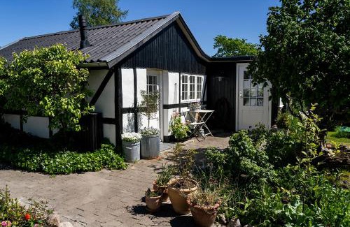 Roskilde Bed & Breakfast | Svenskebakken Bed & Breakfast