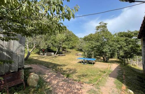 Imereti Other | Sveri Adventure Camp