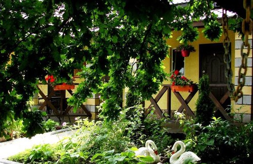 Molodizhne House | Svitoch