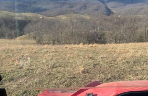 Tannersville House | SW Virginia Mountains. 7 Beds, Amazing Views, Farm