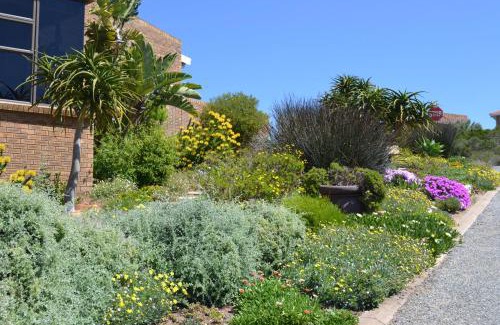 Still Bay Apartment | Swallows Nest