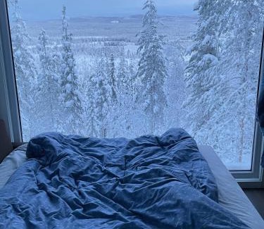 Arvidsjaur Municipality House | Swedish Treehouse