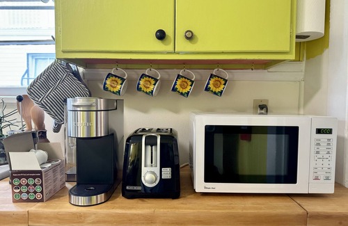 Fairgrounds Apartment | Sweet Artist Haint, Jazz Fest, New Orleans