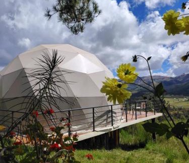 Chuquisaca House | Sweet Forest-Domo Sol