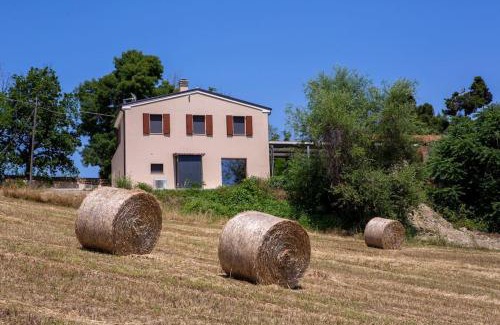 Offida Apartment | Sweet Home Offida