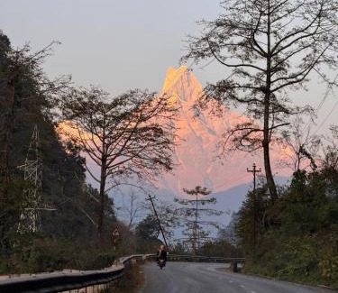 Sauraha Hotel | Sweet Home