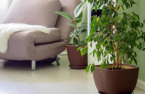 Boryspil Apartment | Sweet-S