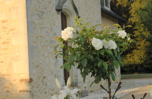 Sermaise House | Sweetness of Anjou in former 15th century seigniorial mansion