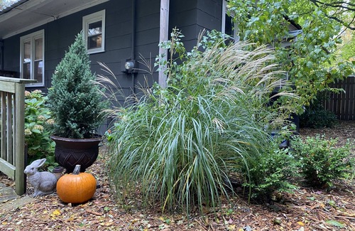 Ludington Cottage | Sweetwater Cottage is a well curated cottage a block away from Hamlin Lake