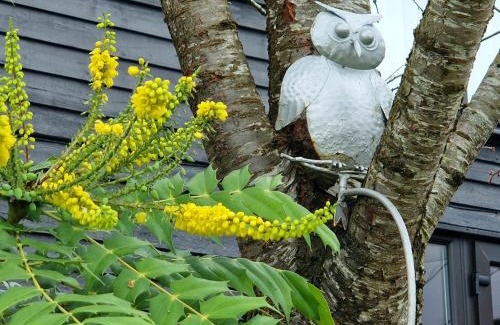 Norwich House | Swift Host - Owl Barn - Sleeps 2 - EV Charger - Pet Friendly