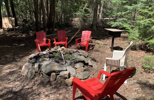 Ormsby Cabin | Swim, Play, Fish at this Beautiful, Private Cabin on the Lake.