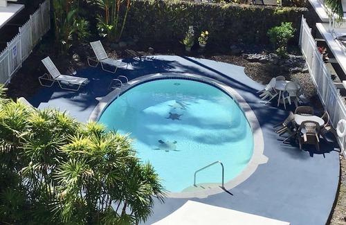Hilo Condo | Swim with the turtles and watch the whales! S-l-o-w down and R E L A X.