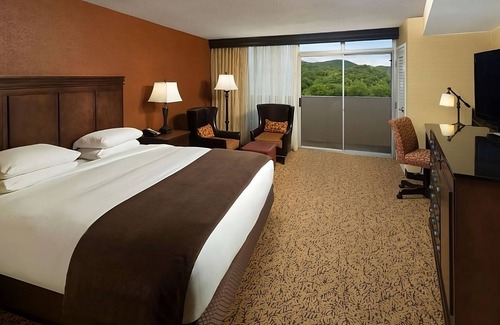 Gatlinburg Hotel | Swimming Pool, Pets Allowed! Your Stylish Gatlinburg Getaway!