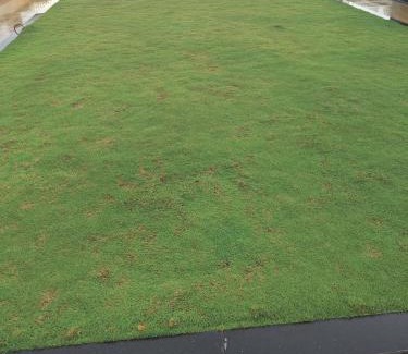 Bhimunipatnam Apartment | swimming pool & room near beach road Bheemunipatam vishakhapatnam