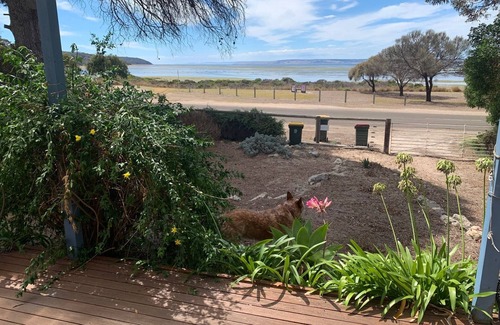 American River House | Swordfish, Pet Friendly SHACK