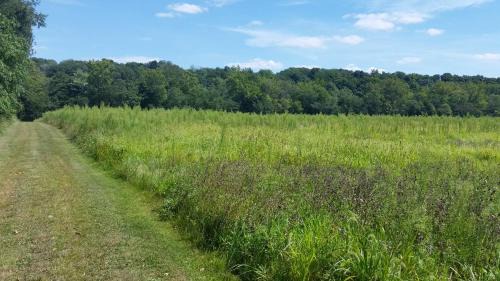 Brookston Other | Sycamore Springs Farm on Springboro