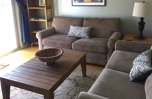 Goleta Apartment | Sylvan Sunshine- Santa Barbara area, Sunny, Quiet Apt near UCSB, Goleta Beach