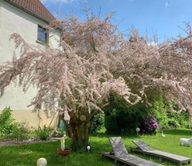 Trausnitz Apartment | Sylvias Burgblick