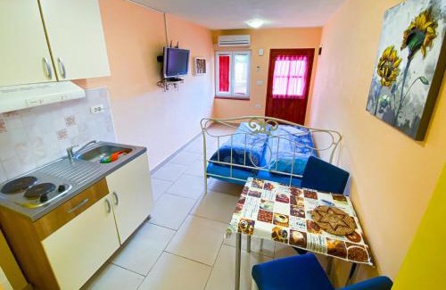 Secovlje Apartment | Synergy Deluxe Apartments