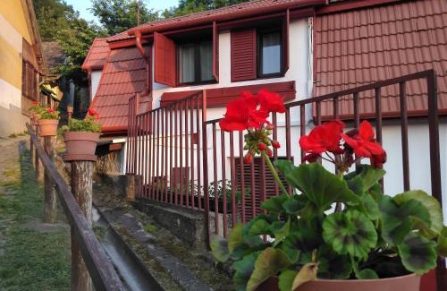 Zebegeny House | Szőnyi úti vendégház
