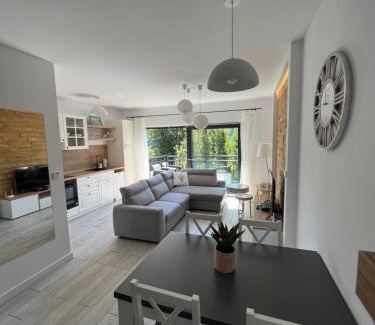 Meszna Apartment | Szczyrkowskie SKI & FUN 8 z balkonem - Sauna i Jacuzzi