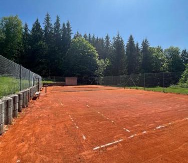 Janske Lazne Apartment | Třetí chalupa U Smrčiny