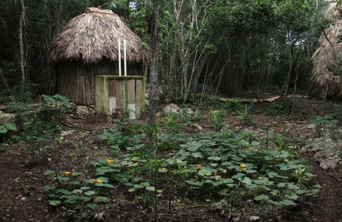 Macario Gomez Cabin | t h e m a y a n r o o m