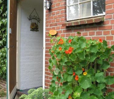 Exloo House | 't Zwaluwennest