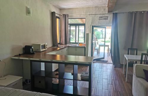 Vagos Ski Chalet | T0 da Casa da Quinta S José