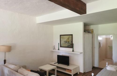 Vagos Ski Chalet | T0 da Casa da Quinta S José