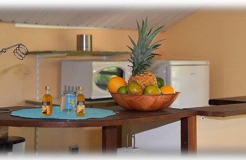 Saint-Joseph Apartment | T2 Apartment Countryside View