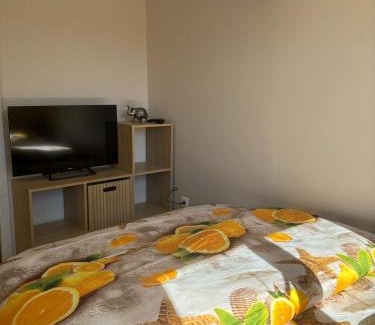 Bedarieux (ornac) Apartment | T2 Avec exterieur