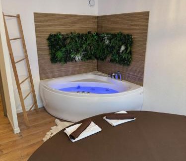 Tournefeuille Apartment | T2, Balneo, sauna, lit rond, jeux arcades, parking