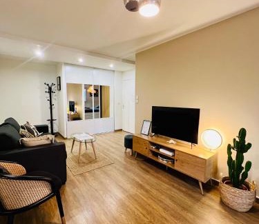 Beaux Arts-Boutonnet Apartment | T2 Beaux Arts parking privé gratuit